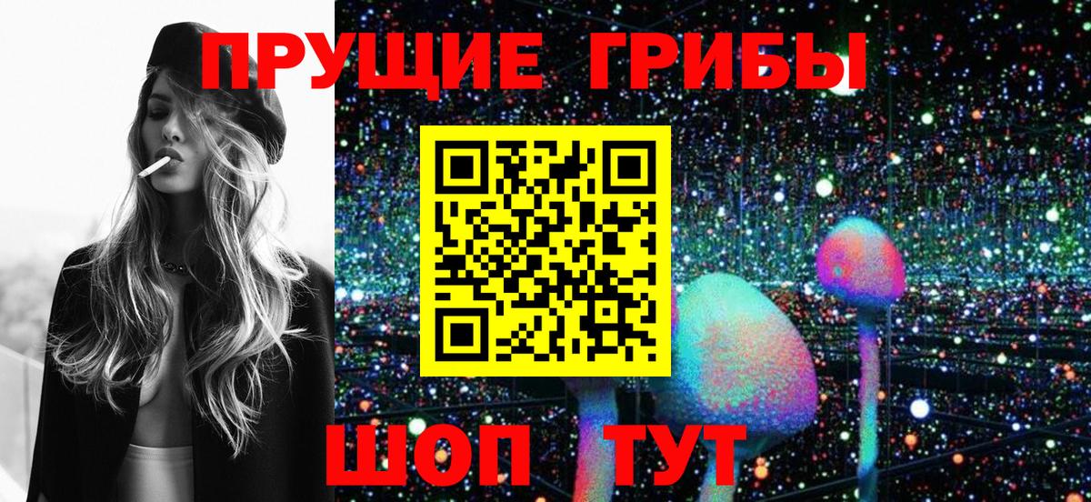 Галлюциногенные грибы Psilocybine cubensis Сертолово