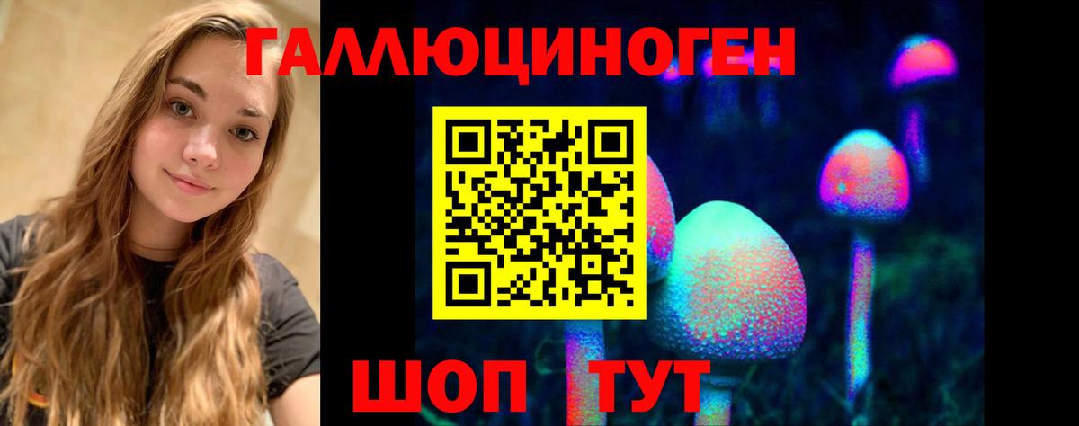 Галлюциногенные грибы Psilocybe  Псилоцибиновые грибы ЛСД  Вход с VPN  Сертолово 